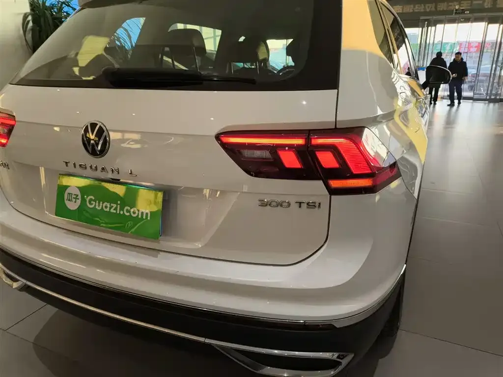 Volkswagen Tiguan L 2023 из CN, фото 9