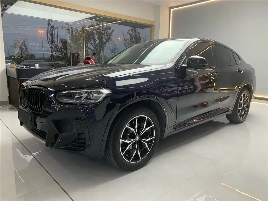 BMW X4 — фото 1