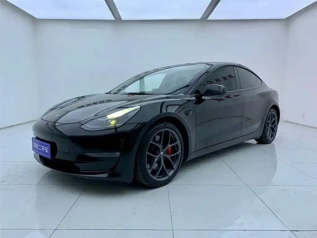Tesla Model 3 2021 из CN, фото 1