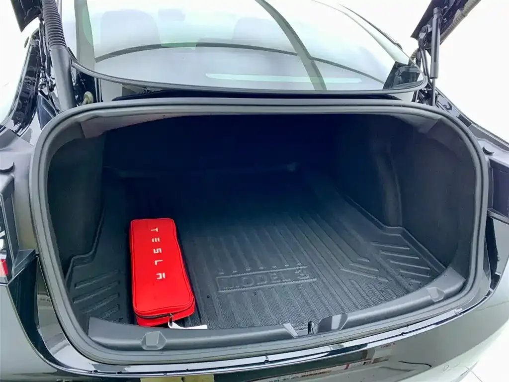 Tesla Model 3 2021 из CN, фото 10