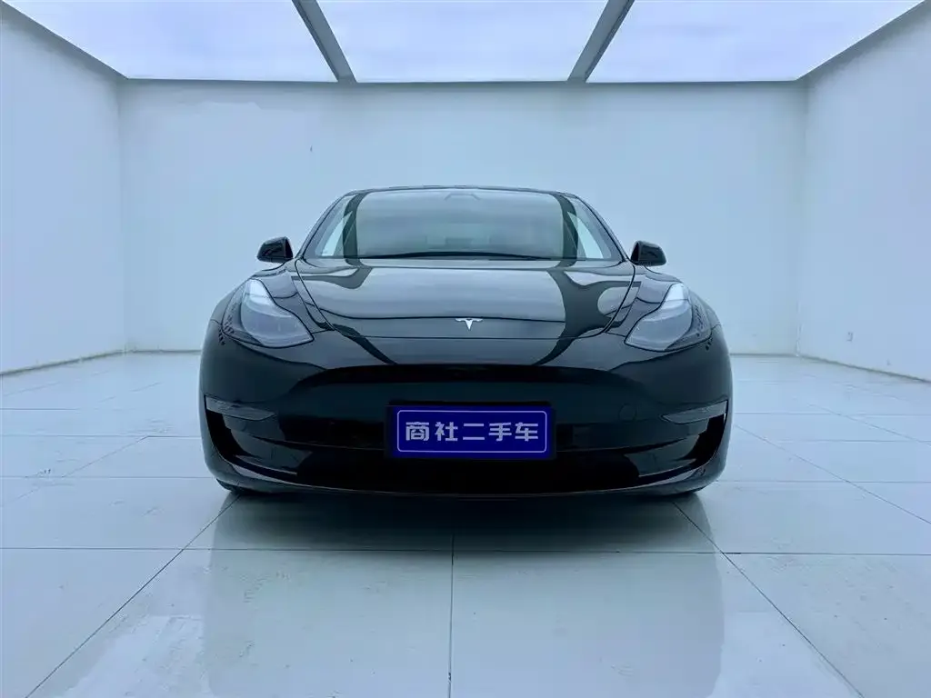 Tesla Model 3 2021 из CN, фото 2
