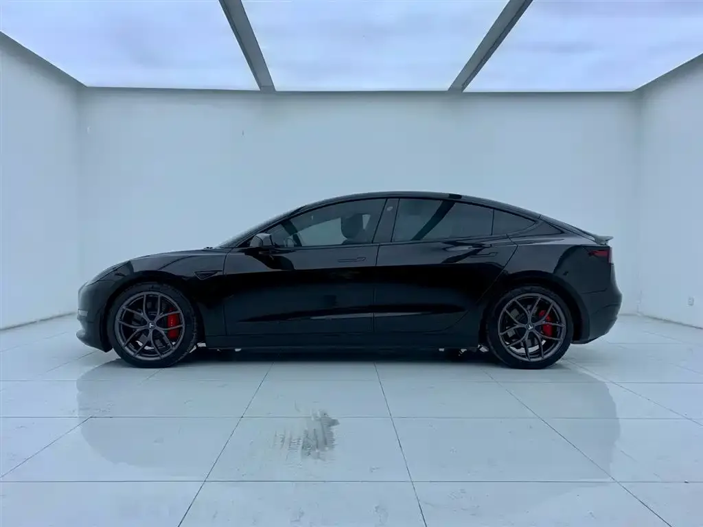 Tesla Model 3 2021 из CN, фото 5