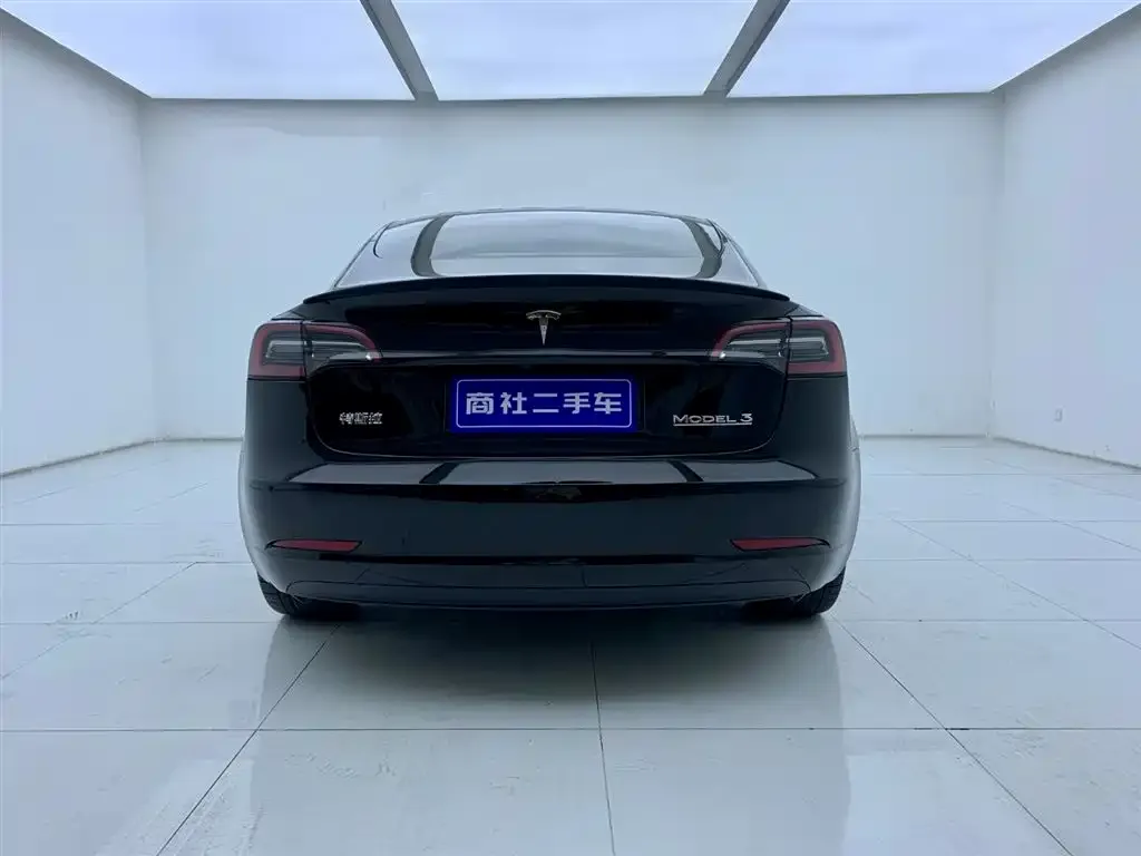 Tesla Model 3 2021 из CN, фото 4