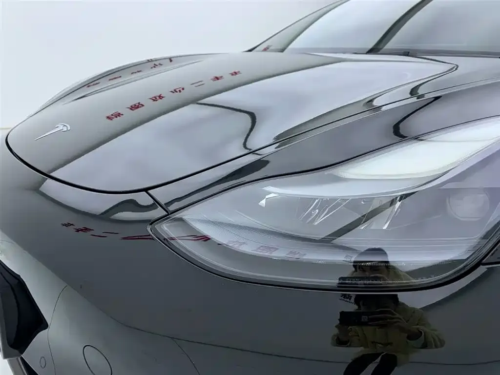 Tesla Model 3 2021 из CN, фото 3