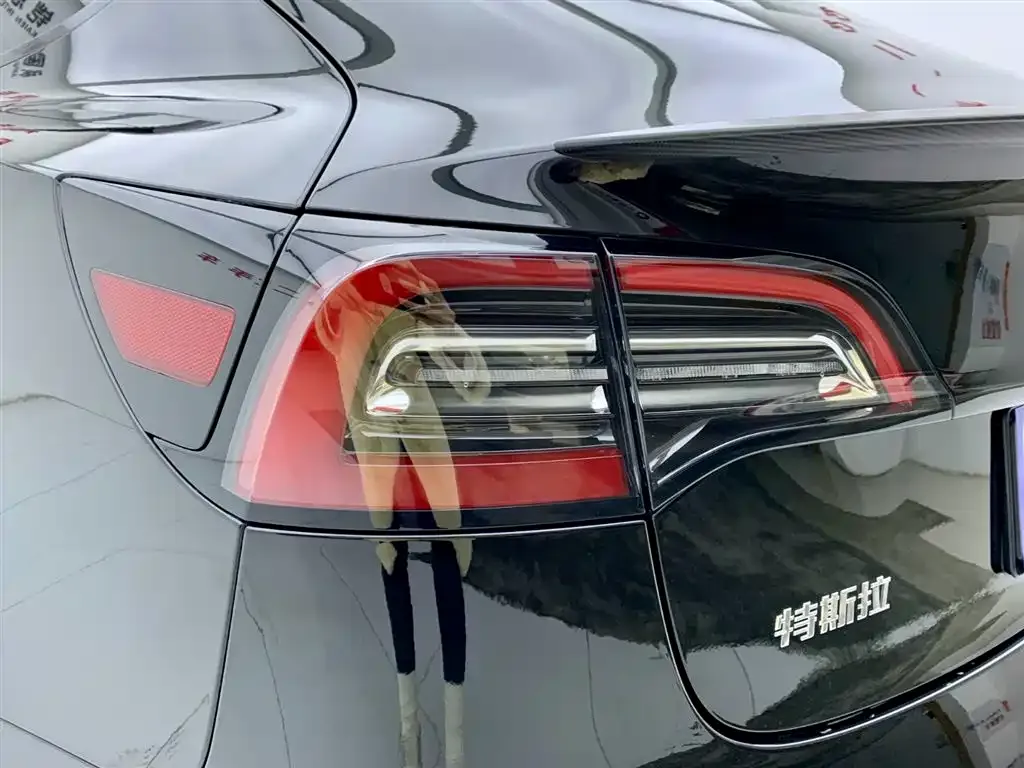 Tesla Model 3 2021 из CN, фото 9