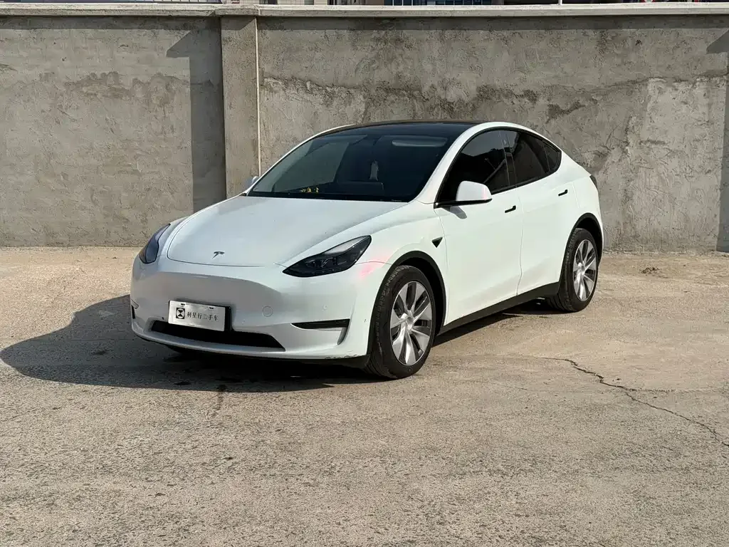 Tesla Model Y 2021 из CN, фото 1