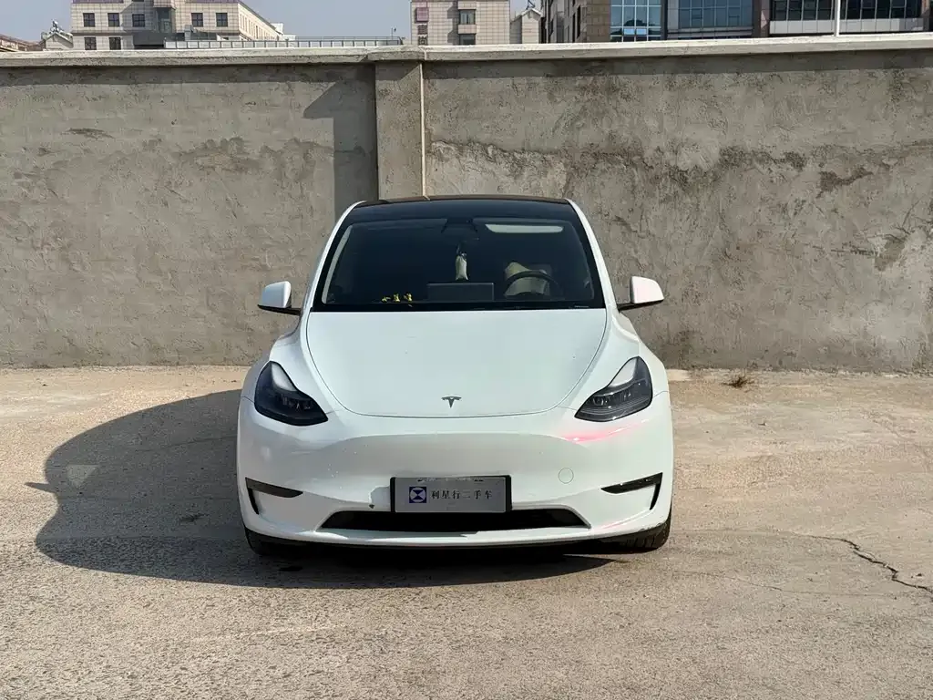 Tesla Model Y 2021 из CN, фото 2