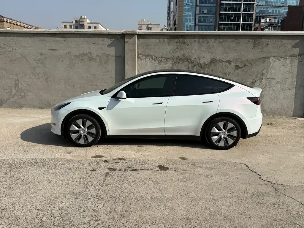 Tesla Model Y 2021 из CN, фото 3
