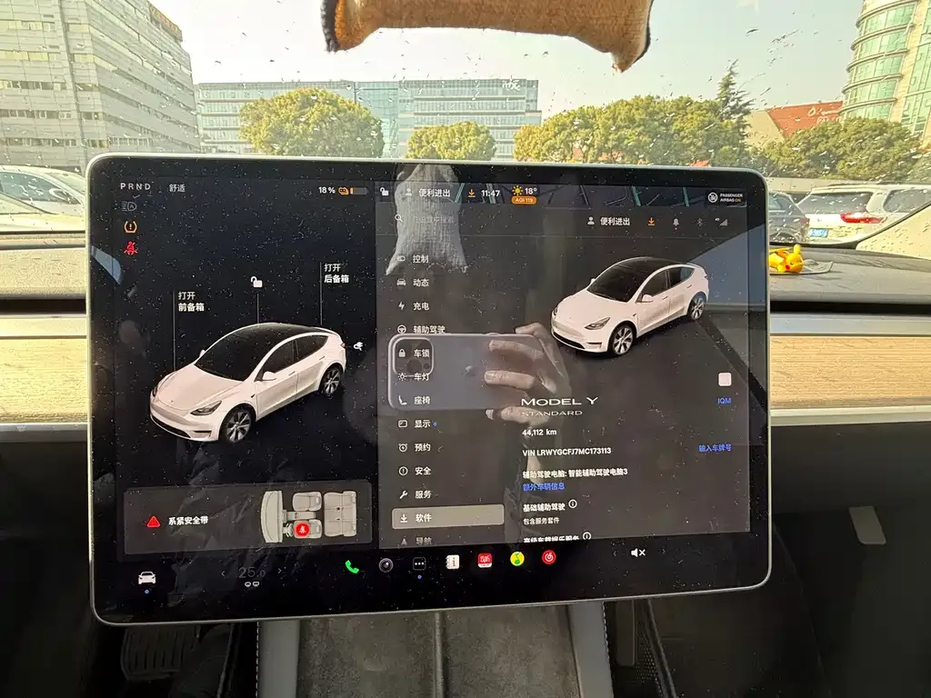 Tesla Model Y 2021 из CN, фото 4