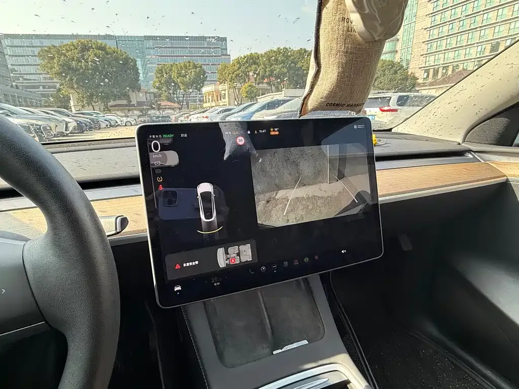 Tesla Model Y 2021 из CN, фото 5