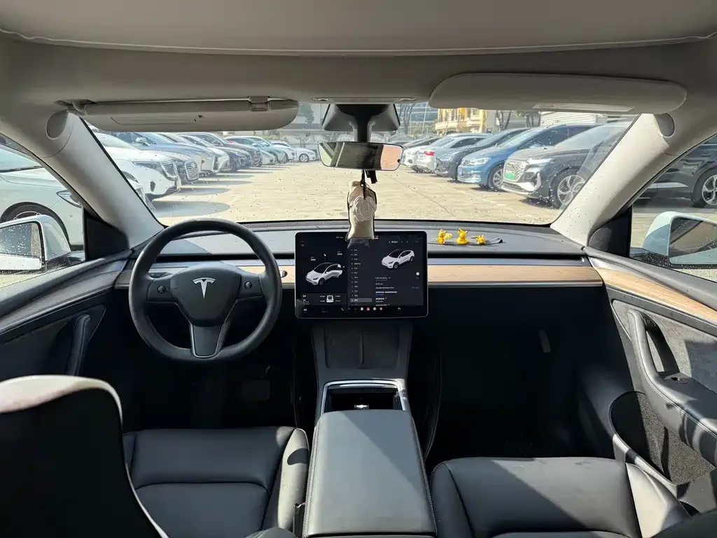 Tesla Model Y 2021 из CN, фото 6