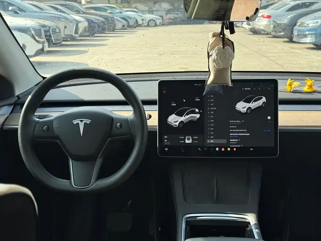 Tesla Model Y 2021 из CN, фото 7