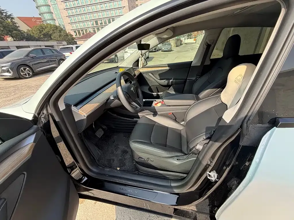 Tesla Model Y 2021 из CN, фото 8