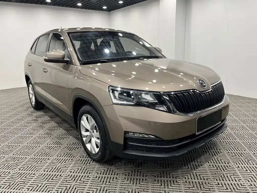 Skoda Kamiq 2021 из CN, фото 1