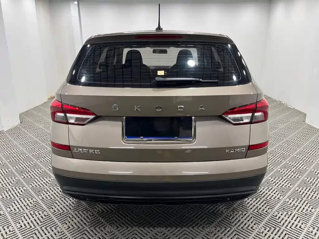Skoda Kamiq 2021 из CN, фото 4