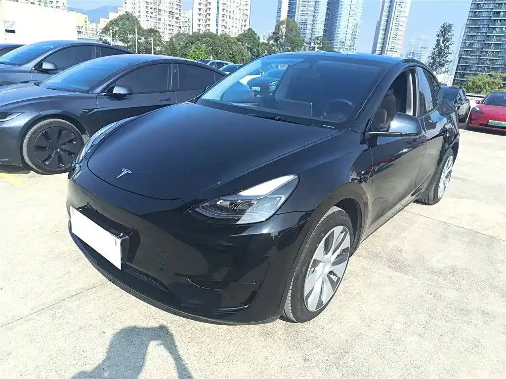 Tesla Model Y 2022 из CN, фото 2