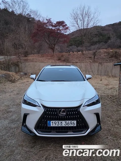 Lexus NX 2025 из KR, фото 1