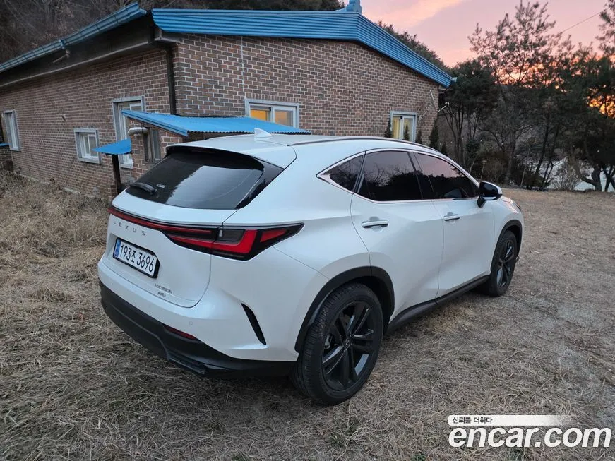 Lexus NX 2025 из KR, фото 2