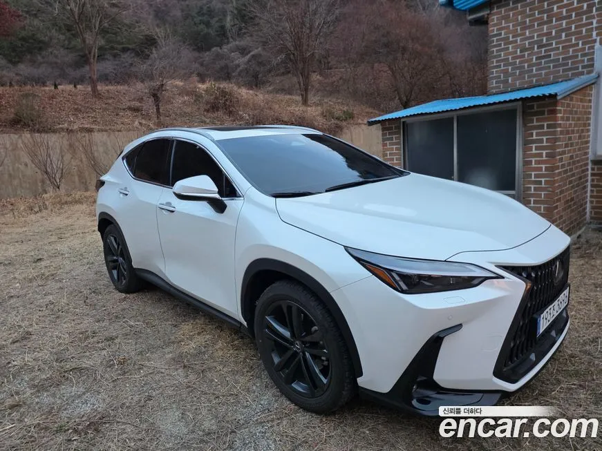 Lexus NX 2025 из KR, фото 3
