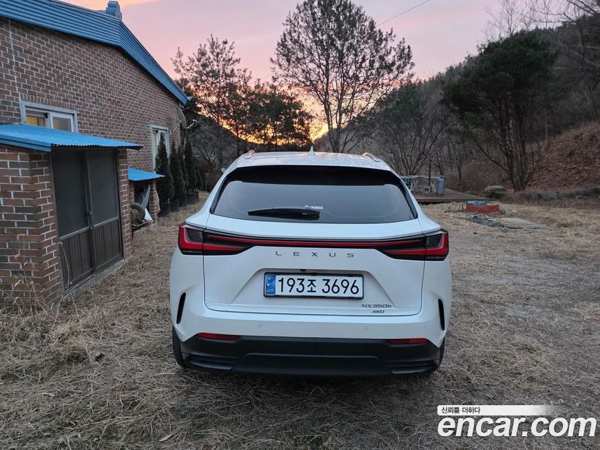 Lexus NX 2025 из KR, фото 4