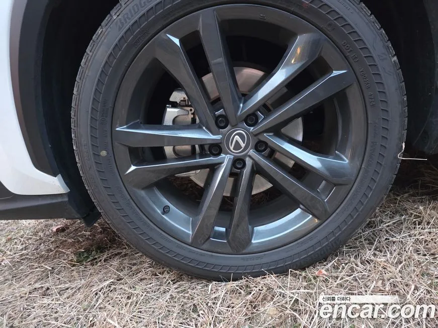 Lexus NX 2025 из KR, фото 5