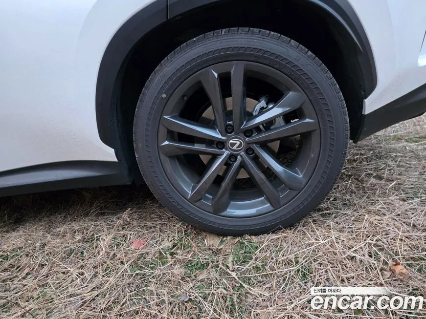 Lexus NX 2025 из KR, фото 6