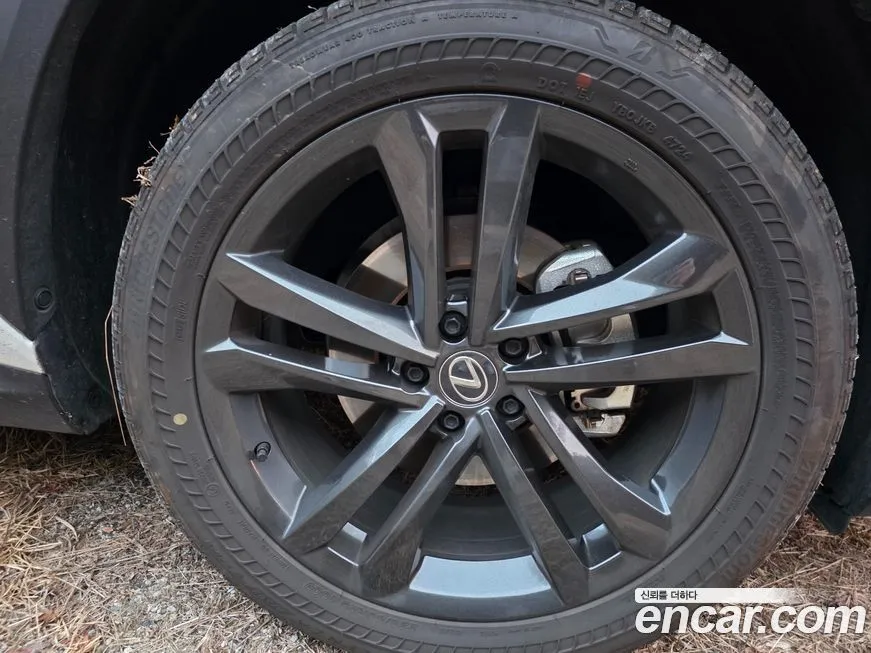 Lexus NX 2025 из KR, фото 7