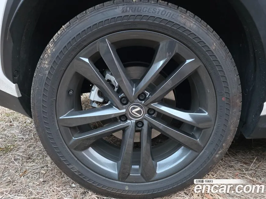 Lexus NX 2025 из KR, фото 8