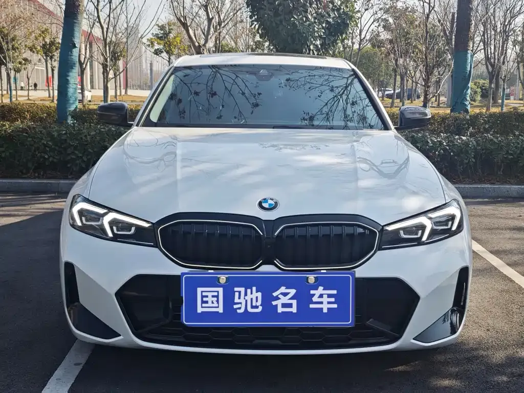 BMW 3 Series 2024 из CN, фото 10