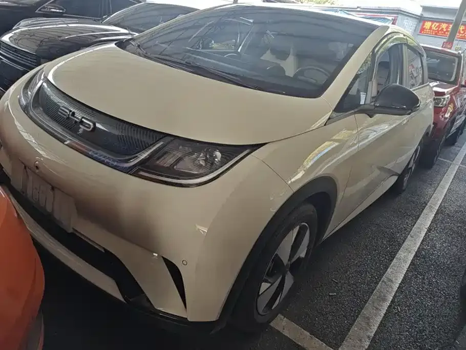 BYD Dolphin 2023 из CN, фото 1