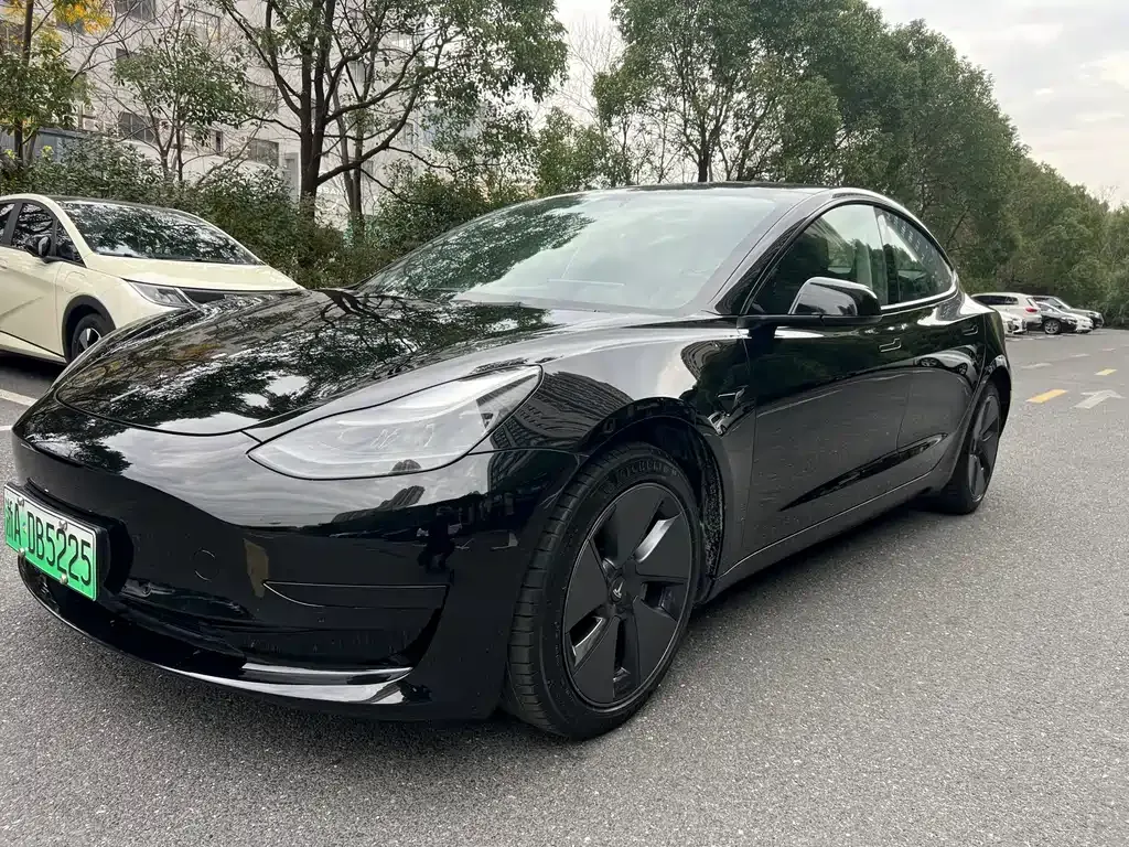 Tesla Model 3 2021 из CN, фото 1