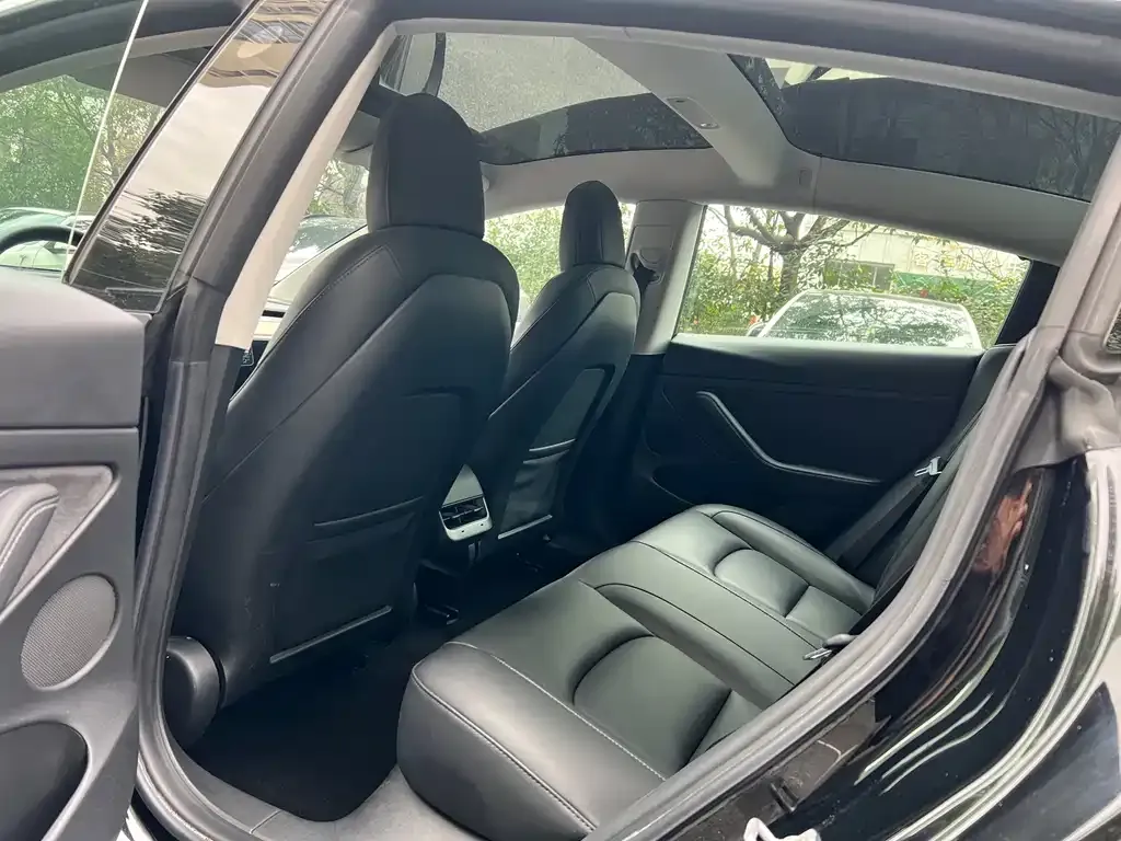 Tesla Model 3 2021 из CN, фото 2