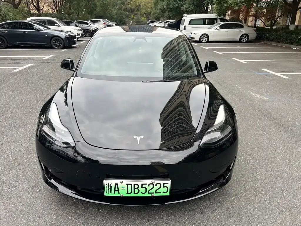 Tesla Model 3 2021 из CN, фото 6
