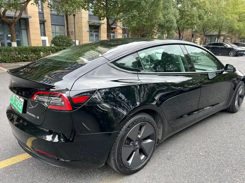 Tesla Model 3 2021 из CN, фото 7