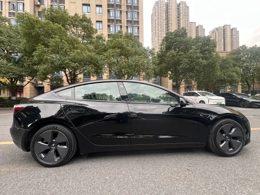 Tesla Model 3 2021 из CN, фото 8