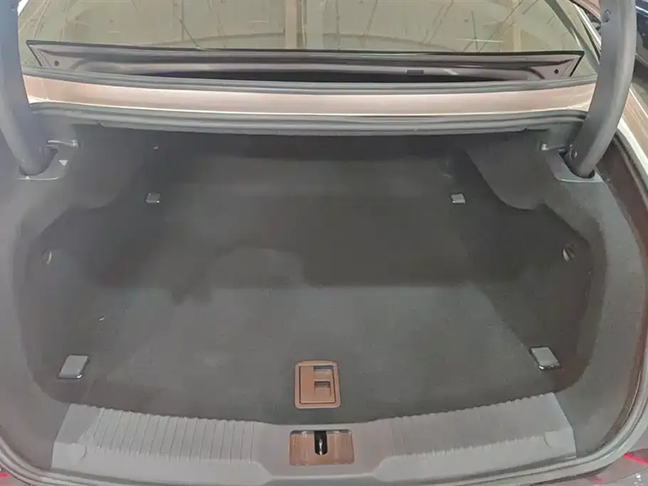 Hongqi H9 2021 из CN, фото 2