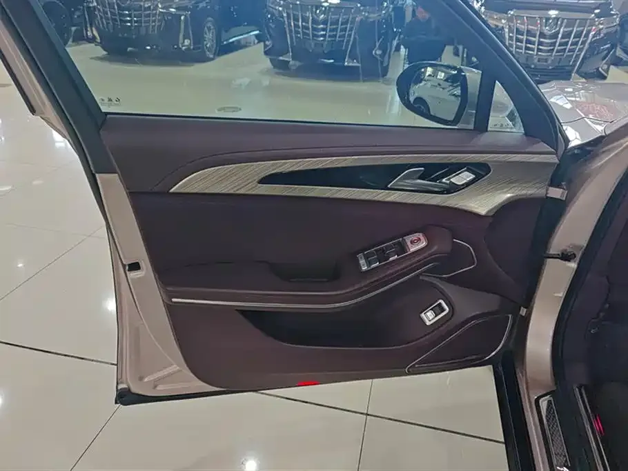 Hongqi H9 2021 из CN, фото 8