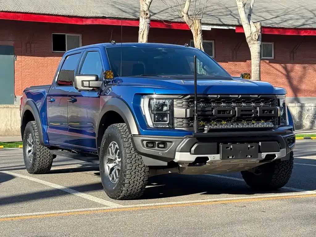 Ford F-150 Raptor 2023 из CN, фото 9