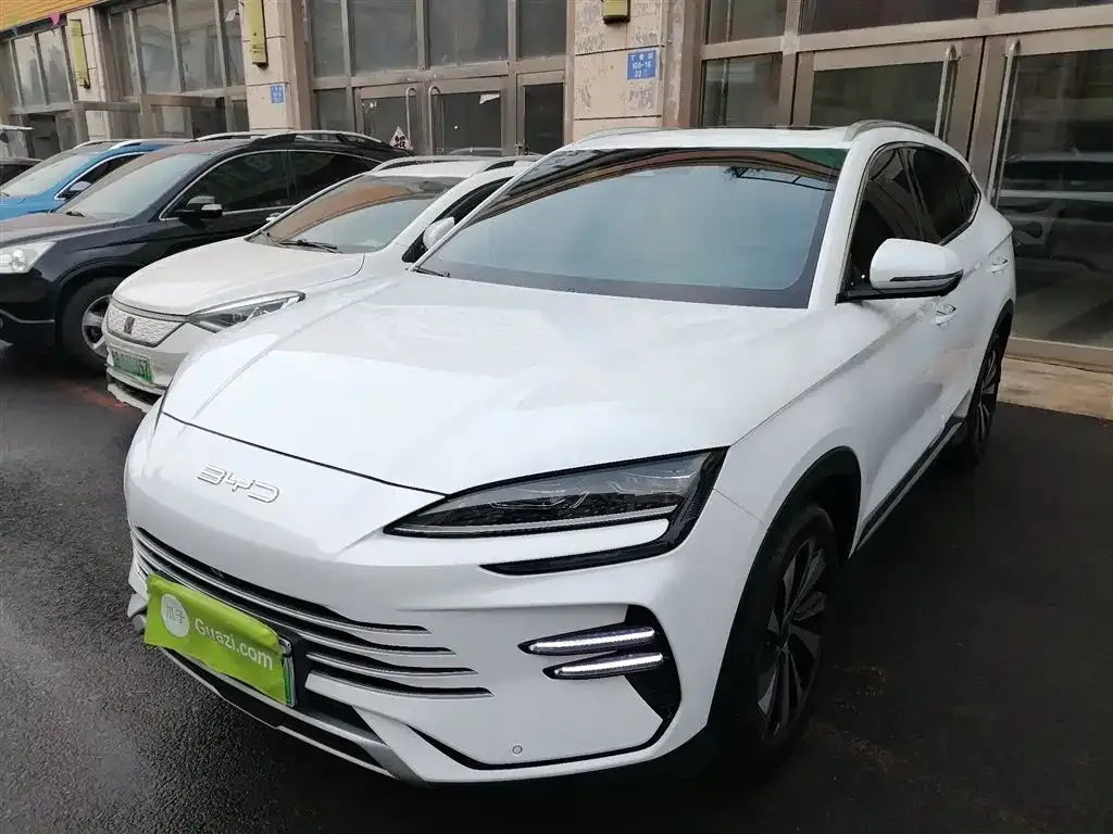 BYD PLUS New Energy 2024 из CN, фото 1