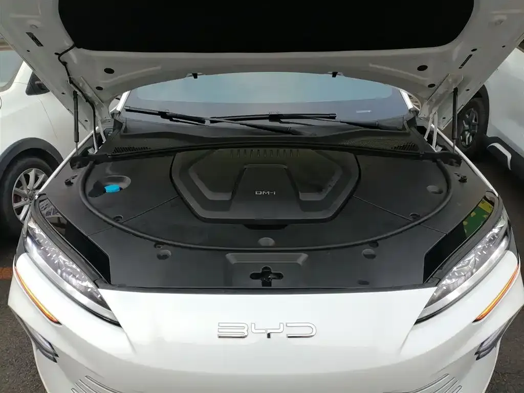 BYD PLUS New Energy 2024 из CN, фото 9