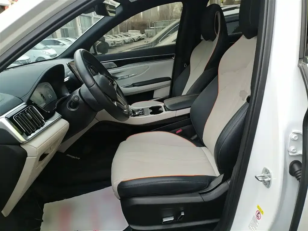 BYD PLUS New Energy 2024 из CN, фото 6