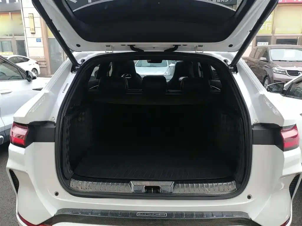 BYD PLUS New Energy 2024 из CN, фото 5