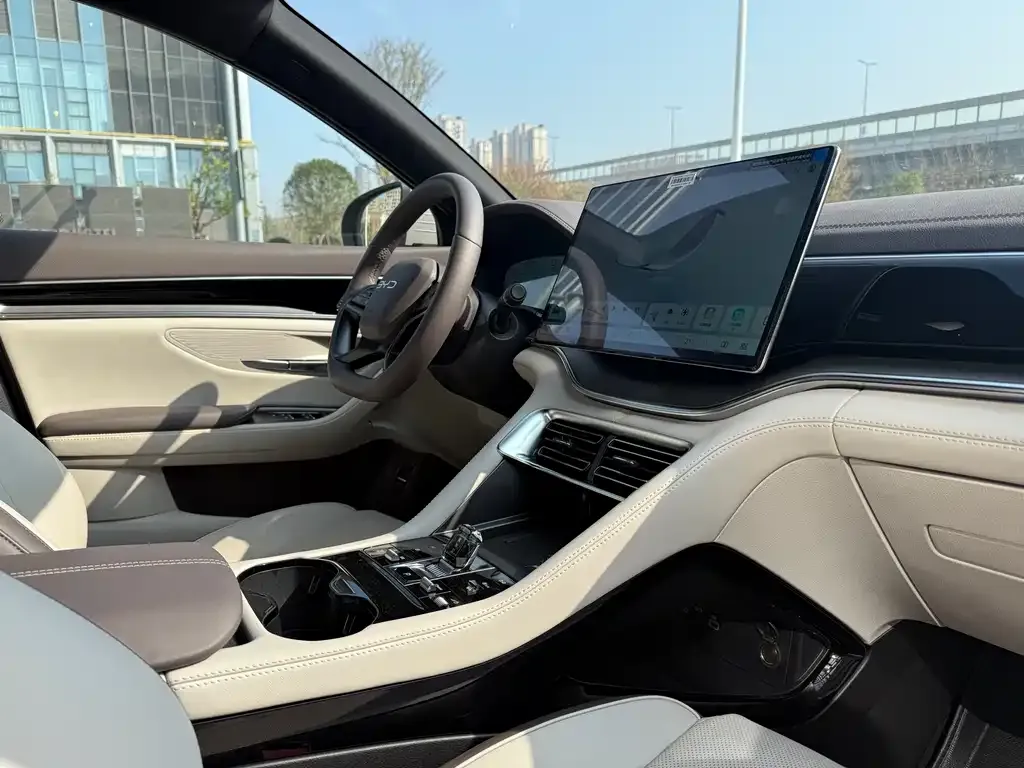 BYD PLUS New Energy 2025 из CN, фото 2