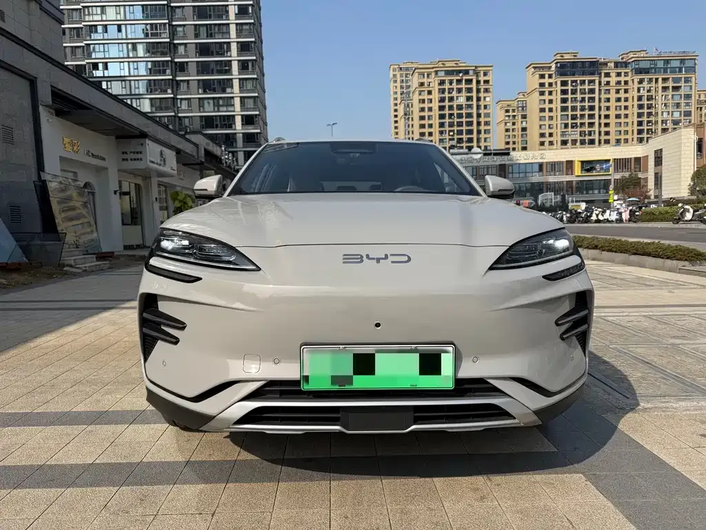 BYD PLUS New Energy 2025 из CN, фото 10