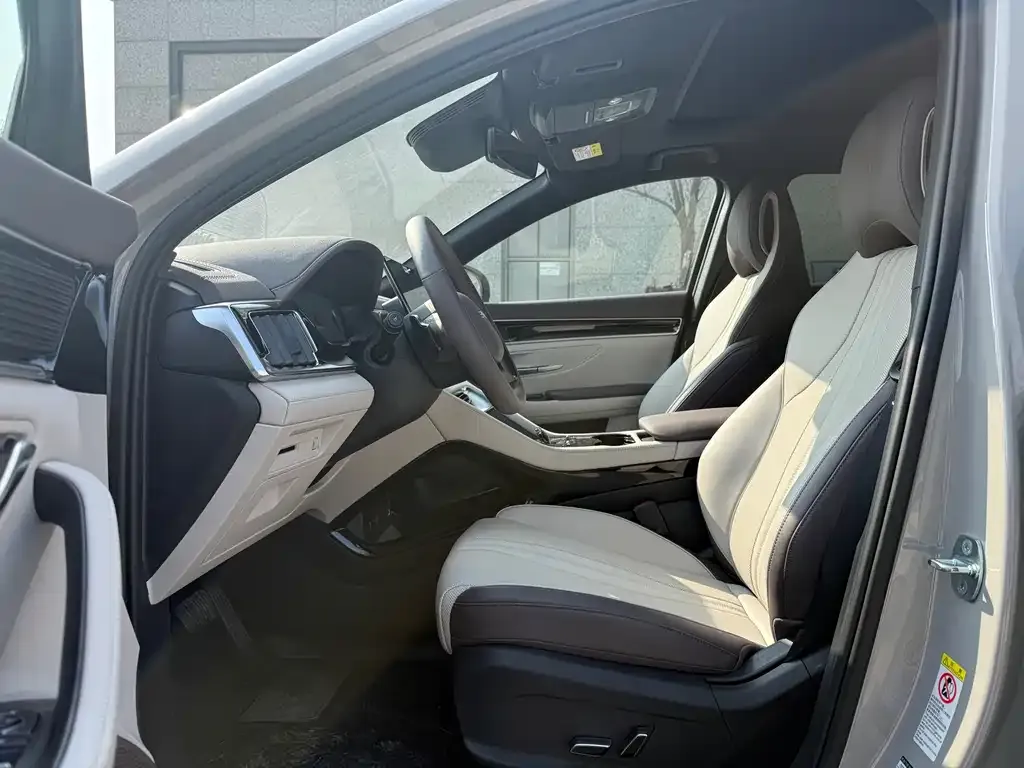 BYD PLUS New Energy 2025 из CN, фото 4