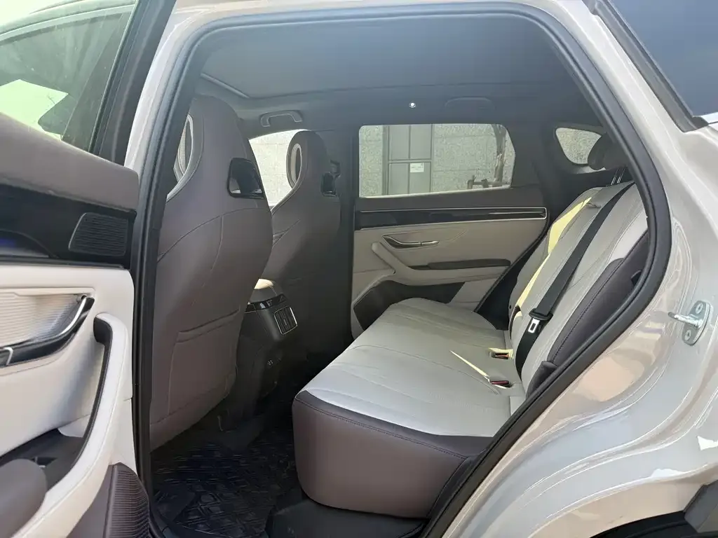 BYD PLUS New Energy 2025 из CN, фото 6