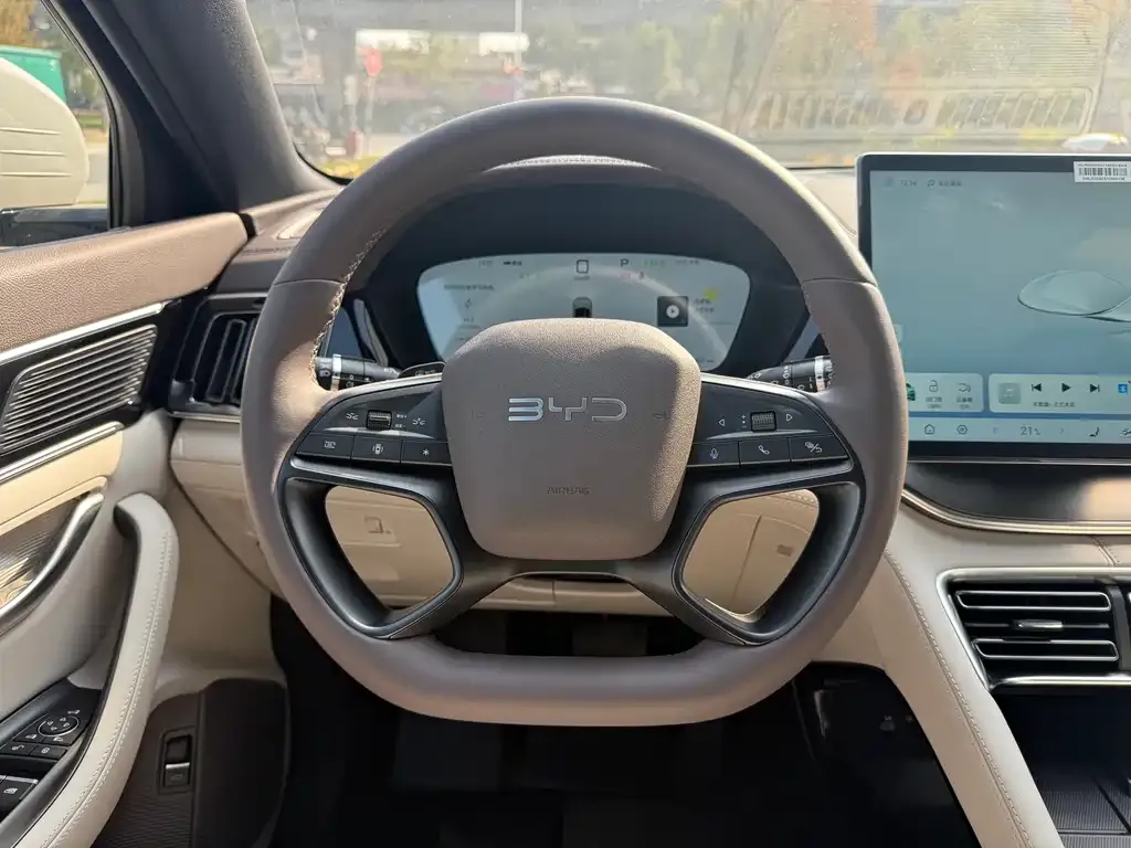 BYD PLUS New Energy 2025 из CN, фото 3
