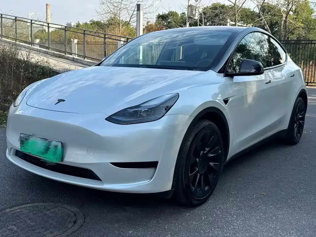 Tesla Model Y 2022 из CN, фото 1