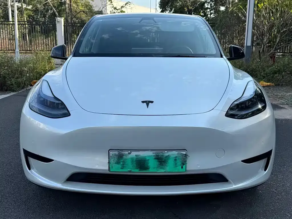 Tesla Model Y 2022 из CN, фото 2