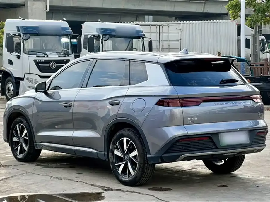 BYD Pro New Energy 2024 из CN, фото 8